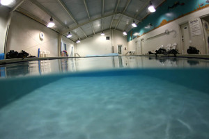 Pool_000